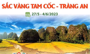 Tuần du lịch Ninh Bình năm 2023: Sắc vàng Tam Cốc - Tràng An