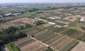 Hà Nội: Nỗ lực tháo gỡ 'điểm nghẽn', sớm giao đất dịch vụ cho người dân