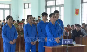 Xét xử vụ hủy hoại rừng ở Đăk Hà