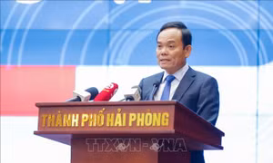 Phát huy nguồn lực kiều bào, kết nối địa phương và doanh nghiệp