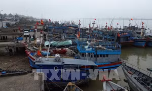 Kiểm soát, hạn chế vi phạm trong khai thác hải sản