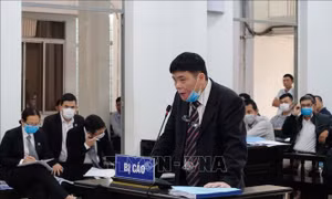 Y án sơ thẩm, tuyên phạt tội 'trốn thuế' đối với vợ chồng Trần Vũ Hải