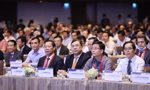 Đổi mới công nghệ, chuyển đổi số và đa dạng chuỗi cung ứng