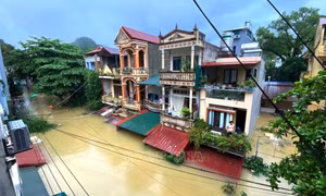 Sự kiện kinh tế Việt Nam nổi bật tuần qua