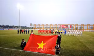 Khai mạc vòng Chung kết Giải bóng đá Vô địch U19 quốc gia - Cúp Modern 2025/2026