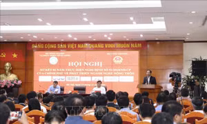 Phát triển ngành nghề nông thôn theo chuỗi giá trị hàng hóa