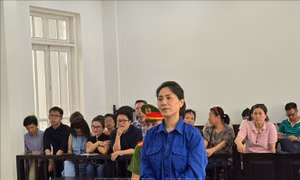 Hoãn phiên xét xử Giám đốc show 'Về đây bốn cánh chim trời' đến ngày 27/8