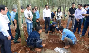 Bình Phước: Quy tập 9 hài cốt liệt sỹ tại huyện Hớn Quản