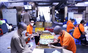 Sức dân nơi tâm dịch TP Hồ Chí Minh - Bài cuối: Đồng hành cùng dân tộc, vì ngày mai bình yên