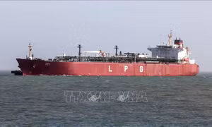 Ấn Độ thúc đẩy ngoại giao năng lượng