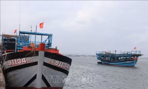 Đà Nẵng tái cơ cấu đội tàu thuyền, giảm thiểu phương tiện khai thác ven bờ