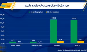 Hướng đi mới cho ngành cà phê trong giai đoạn kinh tế khó khăn