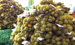 Chương trình mỗi xã một sản phẩm phát huy hiệu quả tại Hà Giang