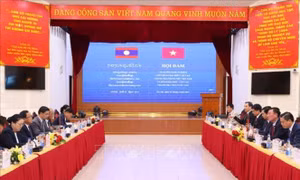 Thanh tra Chính phủ hội đàm với Đoàn đại biểu cấp cao Thanh tra Nhà nước Lào