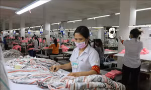 Chỉ thị 03/CT-TTg: Nhiều giải pháp hỗ trợ doanh nghiệp tạo đà tăng trưởng