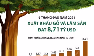 6 tháng đầu năm 2021, xuất khẩu gỗ và lâm sản đạt 8,71 tỷ USD