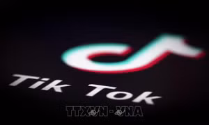 Giới lập pháp Mỹ hối thúc Bộ Tư pháp điều tra Zoom, TikTok