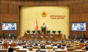 Hoàn thiện khung pháp lý thương mại điện tử cần minh bạch, thực chất