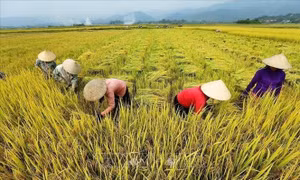 Xây dựng một nền nông nghiệp thông minh, hiện đại
