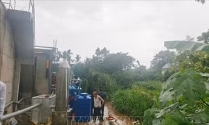 Đề nghị kiểm tra, xác minh phản ánh của TTXVN về cơ sở sản xuất xả thải, gây ô nhiễm