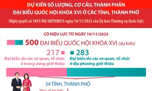 Dự kiến số lượng, cơ cấu, thành phần đại biểu Quốc hội khóa XVI ở các tỉnh, thành phố