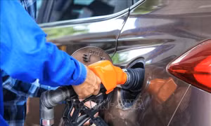 Thủ tướng Chính phủ yêu cầu tăng cường quản lý, sử dụng hóa đơn điện tử trong kinh doanh, bán lẻ xăng dầu