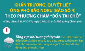 Khẩn trương, quyết liệt ứng phó bão Noru theo phương châm 'bốn tại chỗ'