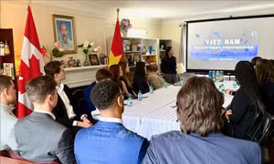Các công ty Canada chuyển hướng sang thị trường Việt Nam