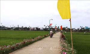 Sức sống mới trên quê hương cố Thủ tướng Phạm Văn Đồng