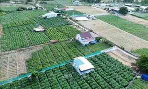 Tăng cạnh tranh cho hàng nông sản qua hợp tác chuyển giao công nghệ