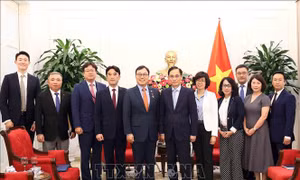Triển khai thực chất các thỏa thuận hợp tác giữa lãnh đạo cấp cao Việt Nam - Hàn Quốc