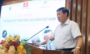 Việt Nam có nhiều tiềm năng phát triển dược liệu biển