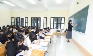 Không kiểm định đồng loạt toàn bộ chương trình đào tạo đại học
