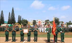 Nêu cao truyền thống anh hùng Bộ đội Đặc công trong xây dựng, bảo vệ Tổ quốc