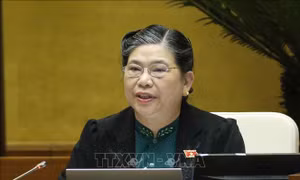 Thông cáo báo chí số 17, Kỳ họp thứ 10, Quốc hội khóa XIV