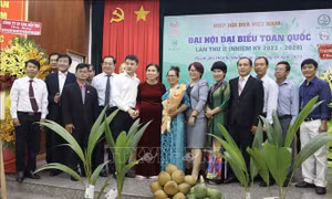 Ngành dừa Việt Nam hướng tới mục tiêu xuất khẩu tỷ USD