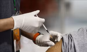 Cơ quan Dược phẩm châu Âu khuyến nghị cập nhật vaccine ngừa COVID-19