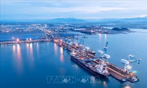 Chấp thuận chủ trương đầu tư dự án kinh doanh kết cấu hạ tầng Khu Công nghiệp VSIP II Quảng Ngãi