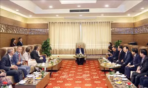 Thủ tướng Nguyễn Xuân Phúc tiếp các đối tác bên lề Hội nghị về đồng bằng sông Cửu Long