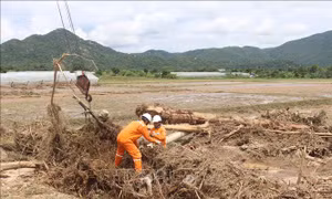Ngành điện khẩn trương ứng phó bão KALMAEGI, khắc phục hậu quả mưa lũ