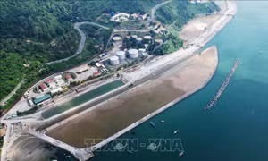 Đà Nẵng đề xuất cơ chế đặc thù để phát triển khu thương mại tự do