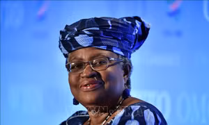 EU ủng hộ ứng viên Nigeria trở thành Tổng Giám đốc WTO