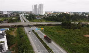 Phạt 35 triệu đồng, trừ 10 điểm giấy phép lái xe với nữ tài xế lùi xe trên đường cao tốc