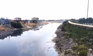 Hành trình cải tạo môi trường Phong Khê: Bài 1 - Ký ức bên dòng sông chết