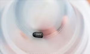 Xác định đối tượng dùng súng bắn chim khiến đạn lạc trúng đầu người phụ nữ