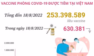 Hơn 253,39 triệu liều vaccine phòng COVID-19 đã được tiêm tại Việt Nam