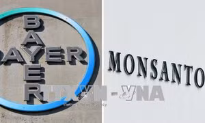 Bất chấp bê bối, Bayer vẫn sáp nhập công ty hoá chất Monsanto vào tập đoàn 