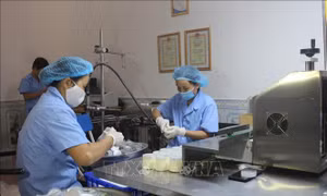 Xây dựng thương hiệu cho các sản phẩm OCOP