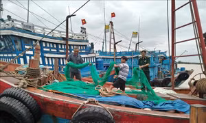 Nam Định cấm biển nhằm ứng phó với bão số 6