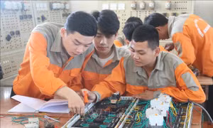 Trường nghề hút học sinh, sinh viên